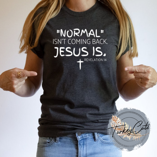 Normal Isn't Coming Back
